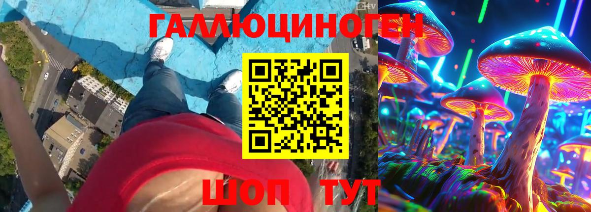 Галлюциногенные грибы Psilocybe  Вход с VPN  Холмск 